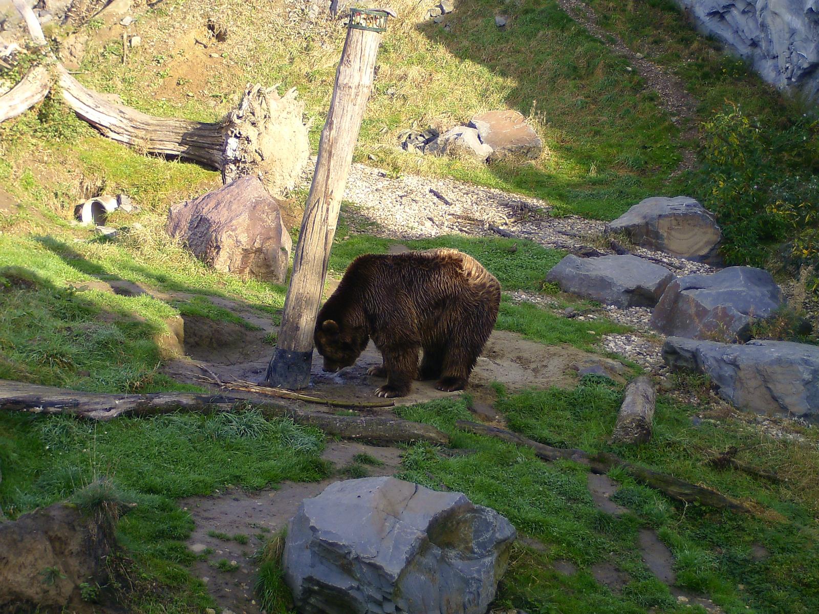 Zoom 18.10.08-036.jpg